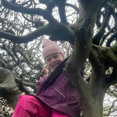 tree.PNG