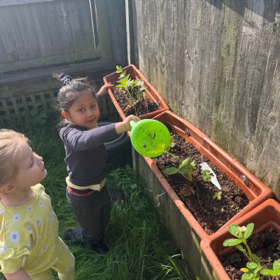 Planting May 2025