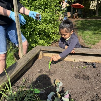 Gardening - May 2025