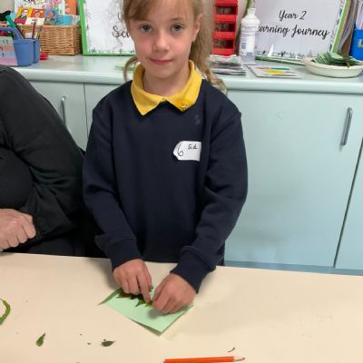 Environment Day 2025